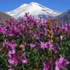 Арагац – самая высокая гора на территории Армении